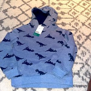 Boys Dinosaur Hoodie